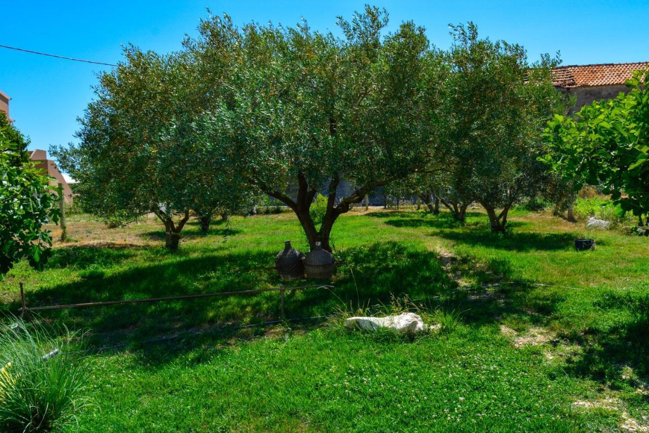 Villa Kutija Sveti Filip i Jakov Esterno foto