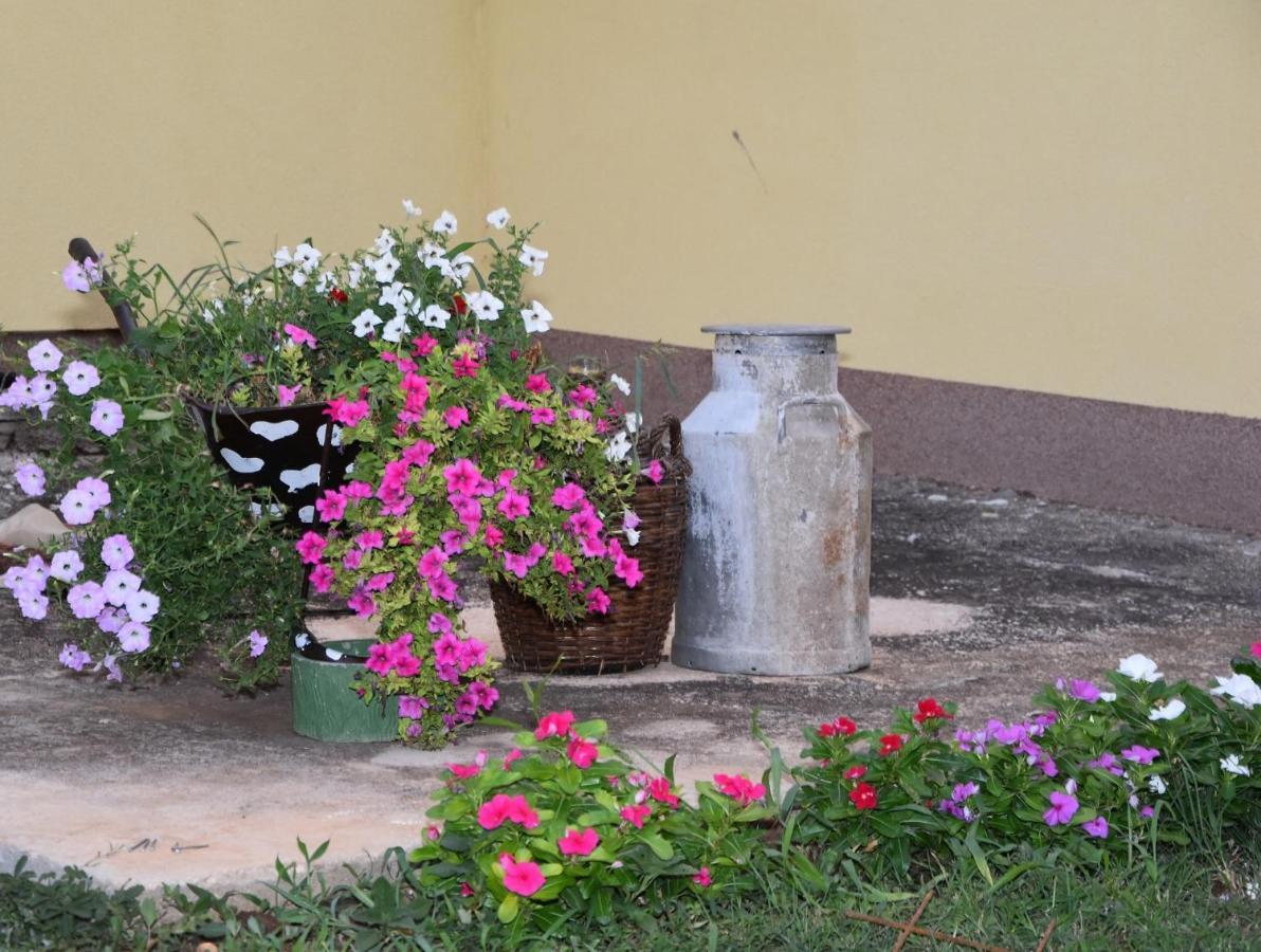 Villa Kutija Sveti Filip i Jakov Esterno foto