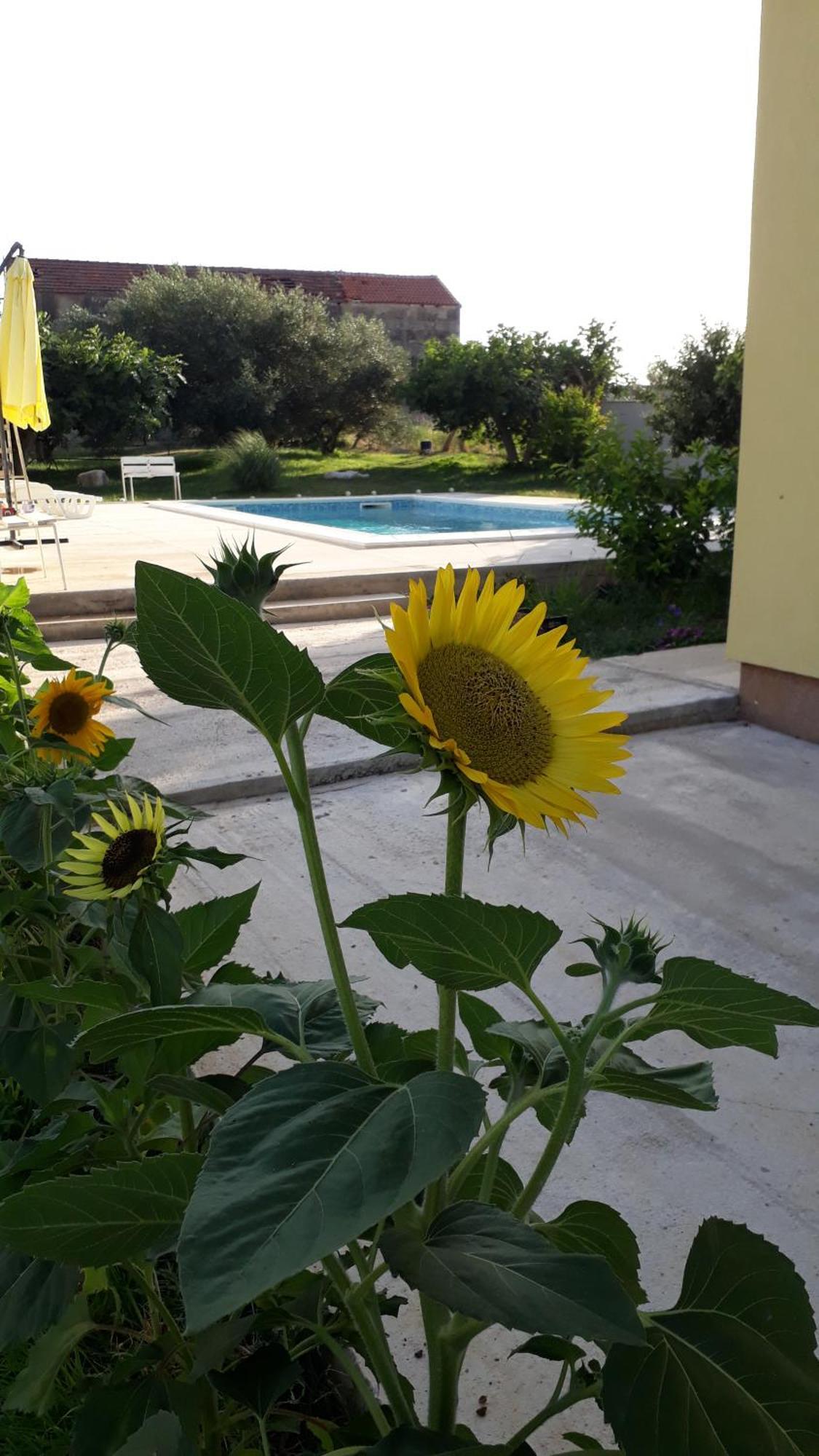 Villa Kutija Sveti Filip i Jakov Esterno foto